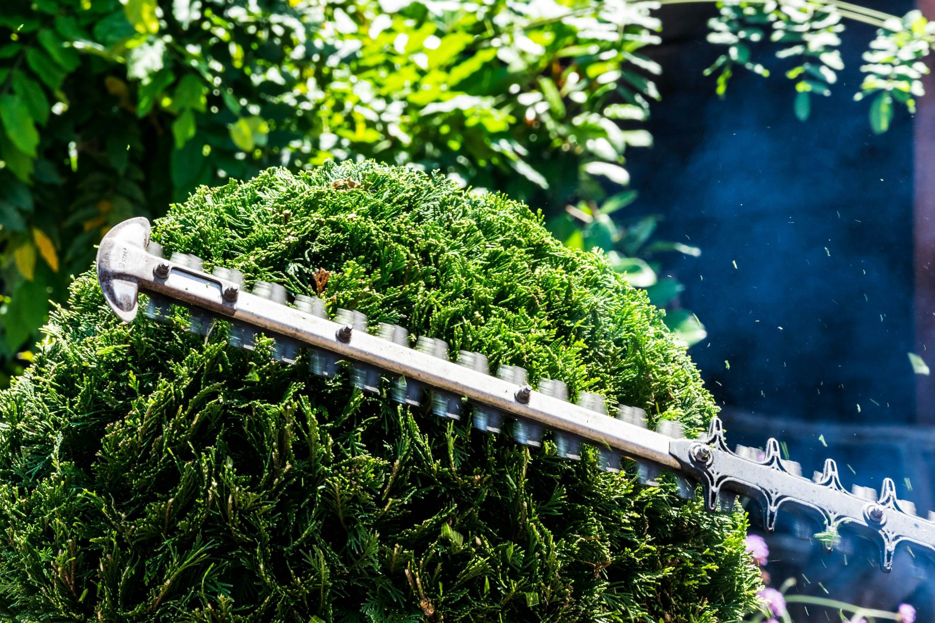 Gartenpflege Grünschnitt und Baumpflege